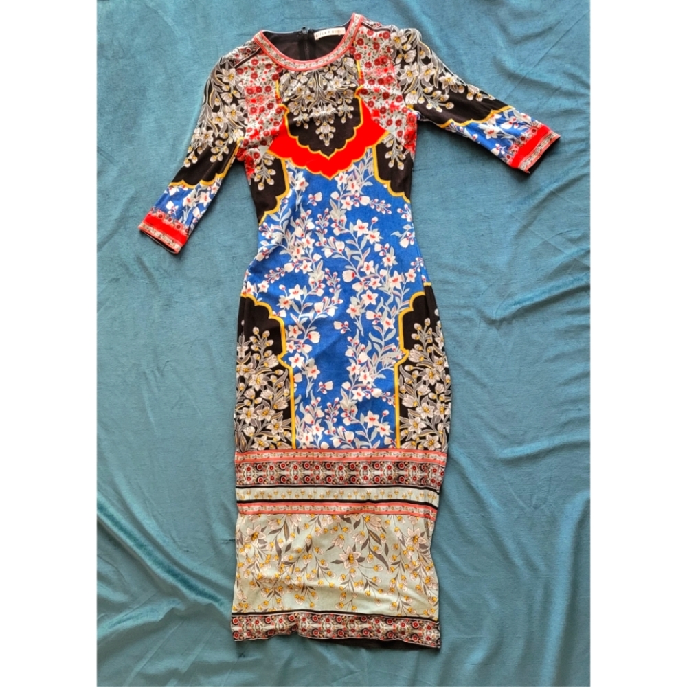 COPY - Alice & Olivia Dress